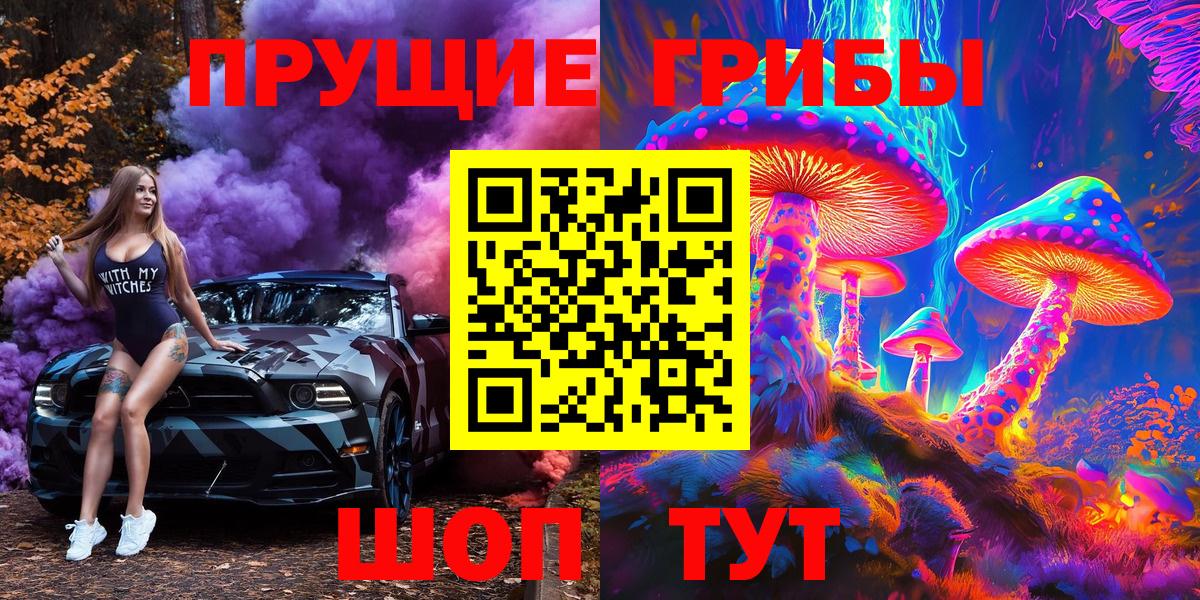 Псилоцибиновые грибы GOLDEN TEACHER  Вход с VPN  Светлоград 